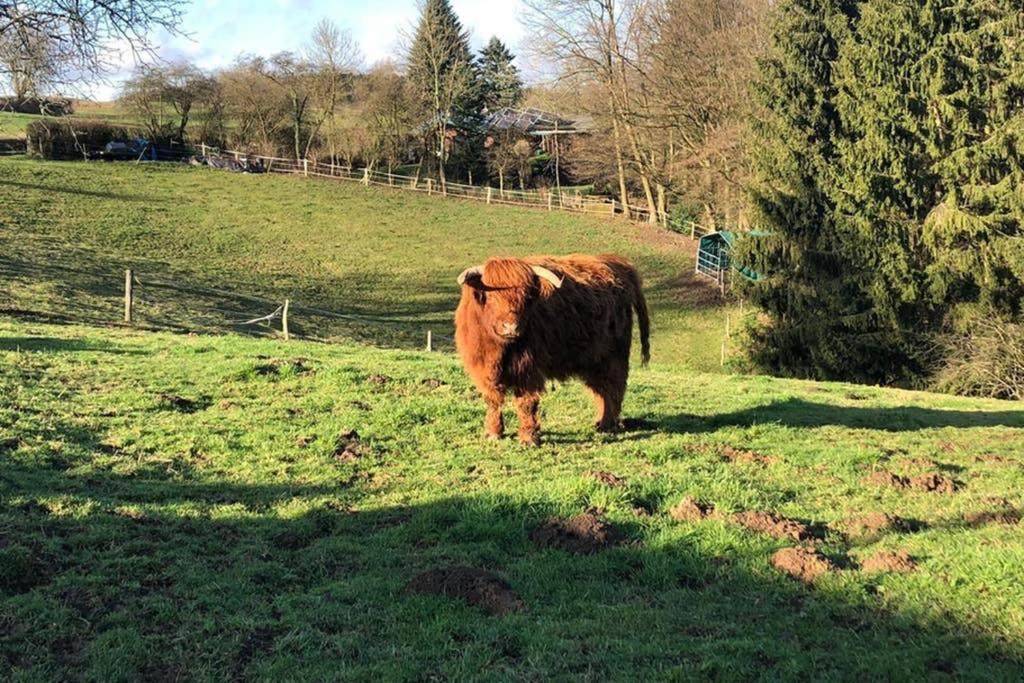 Ferienwohnung Und Monteurwohnung Matthies Naehe Koeln 30Km Kurten ภายนอก รูปภาพ